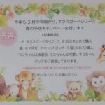 <span class="title">♡予告♡春の予防キャンペーン</span>